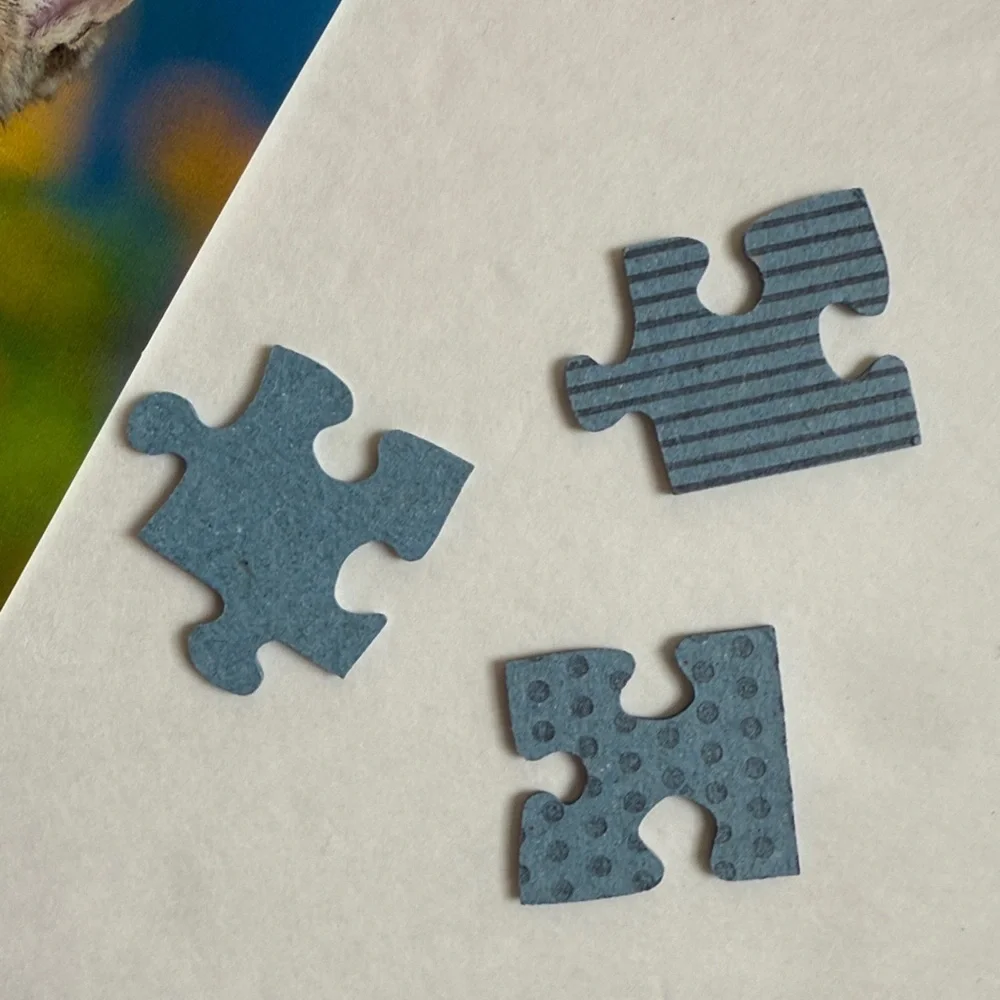 Ravensburger Puzzle with Playful Kittens